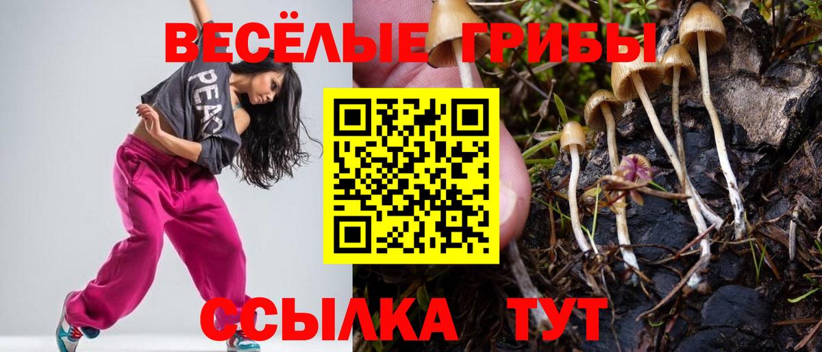 Галлюциногенные грибы мицелий Киров