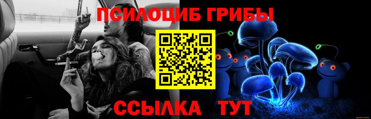 Псилоцибиновые грибы мухоморы  Псилоцибиновые грибы мухоморы  Киров  Вход с VPN 